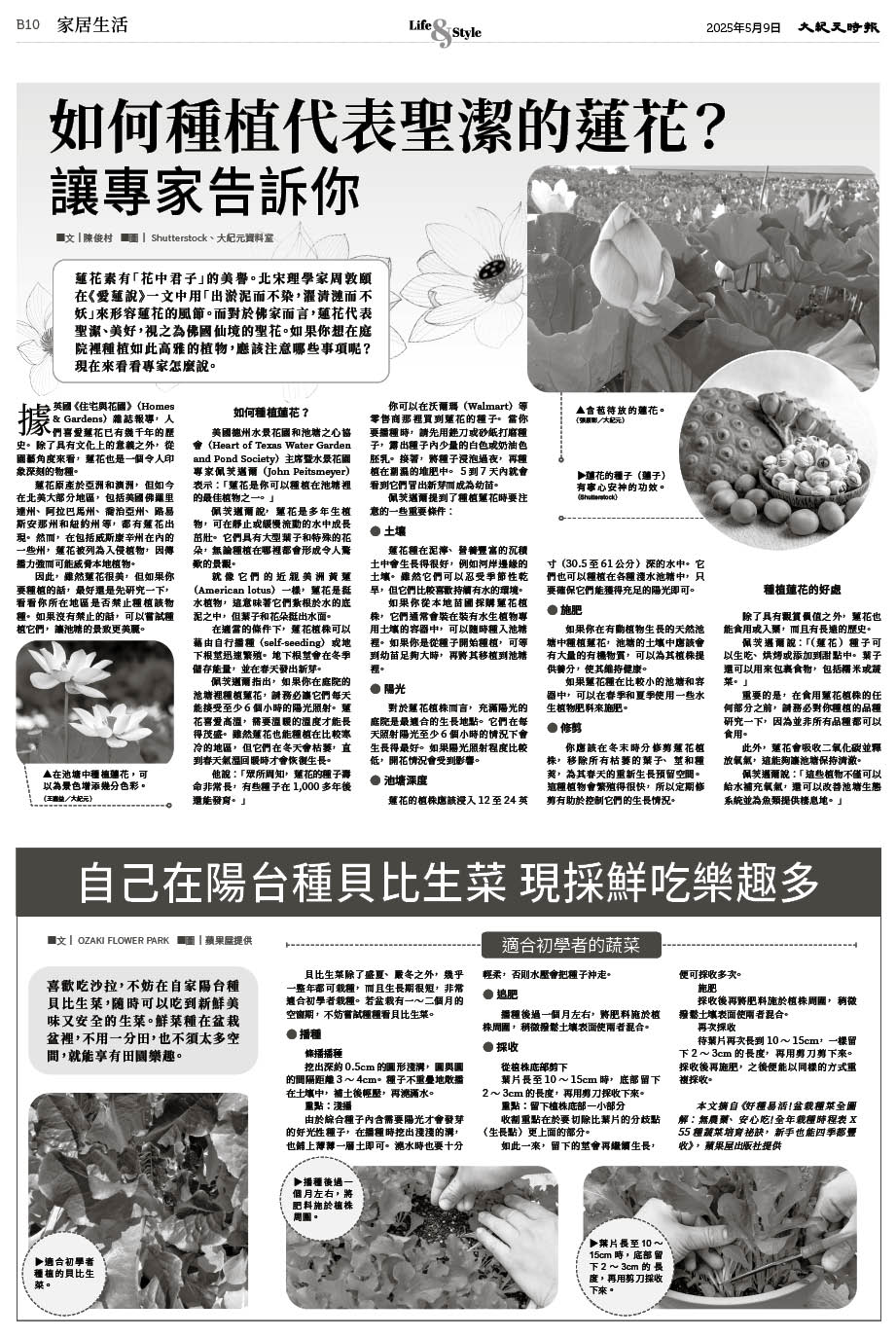Epoch_Ch_1094_B10.jpg