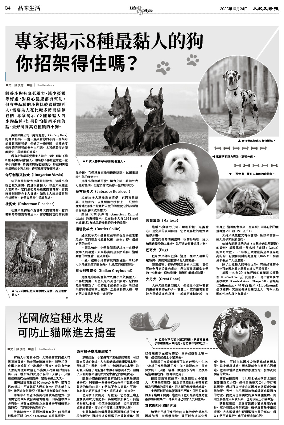 Epoch_Ch_1024_16.jpg