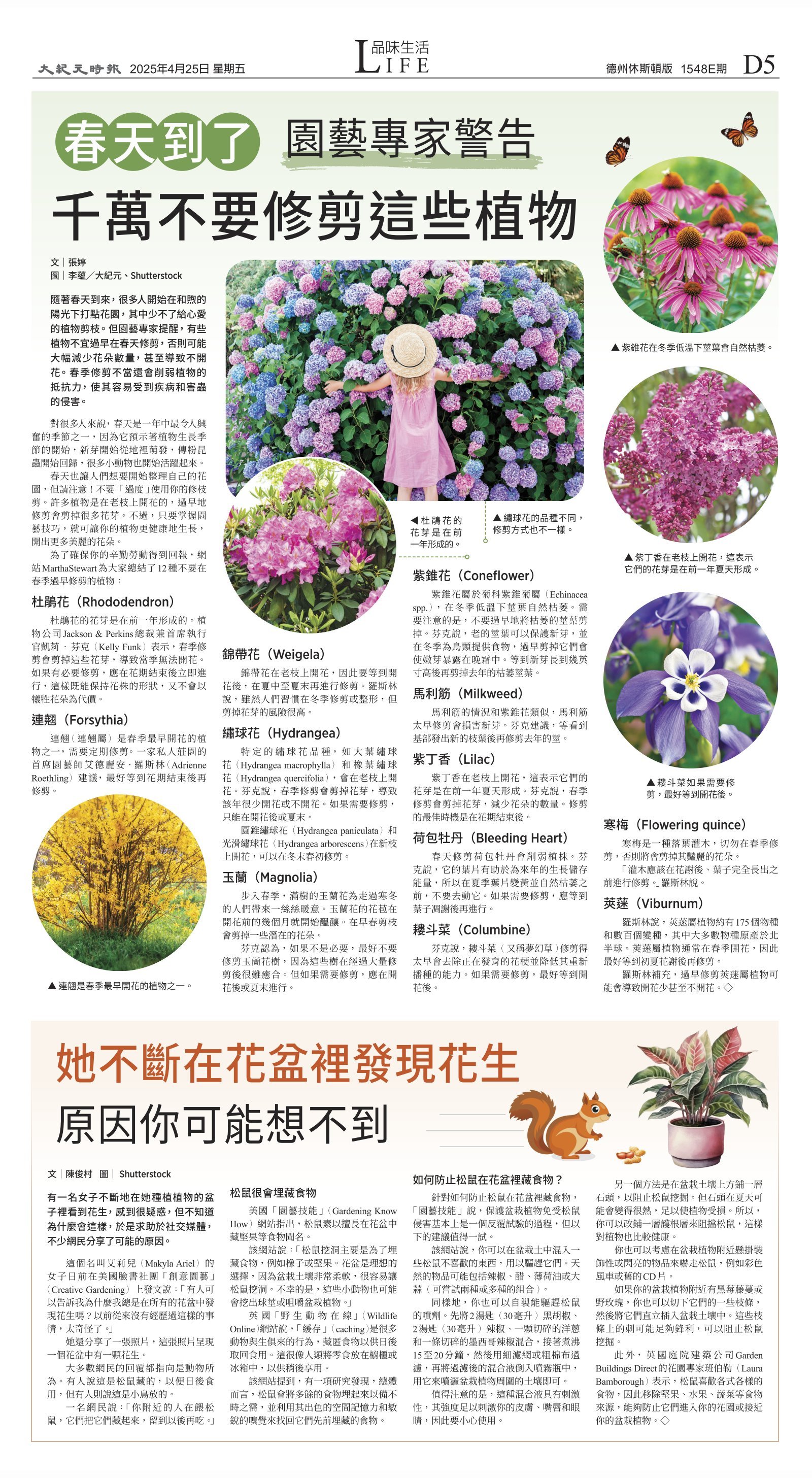 djyhou_1548E_20250425_29.jpg