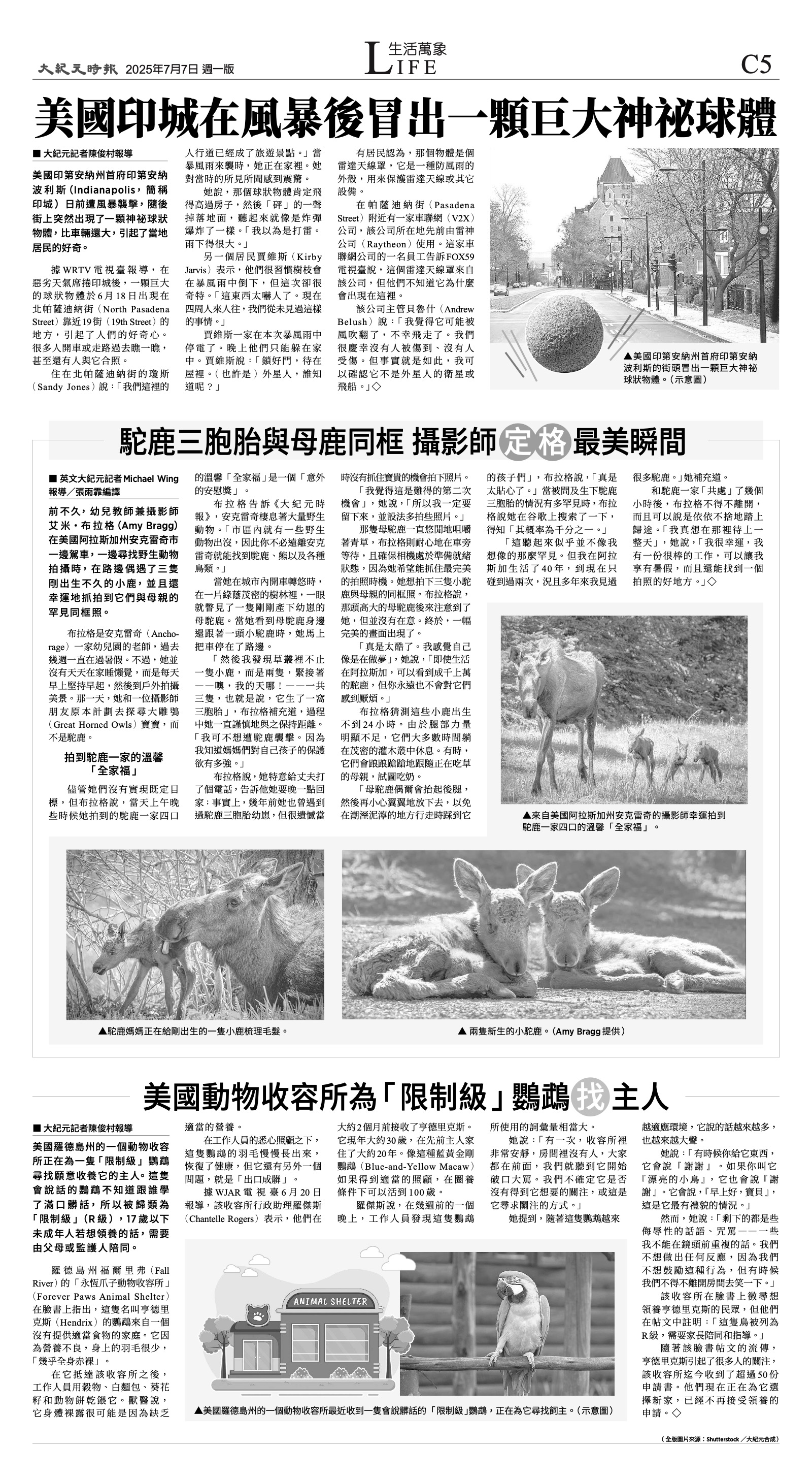 djylax_1559A_20250707_29.jpg