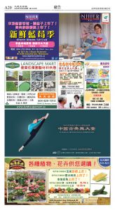 cnd_1281E_A20CMYK_ADVERTISEMENT.jpg