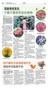 cnd_1282E_B04CMYK_LIFE.jpg
