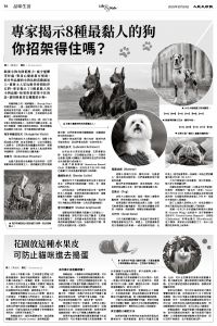 Epoch_Ch_1024_16.jpg