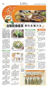 djylax_1559C_20250709_30.jpg